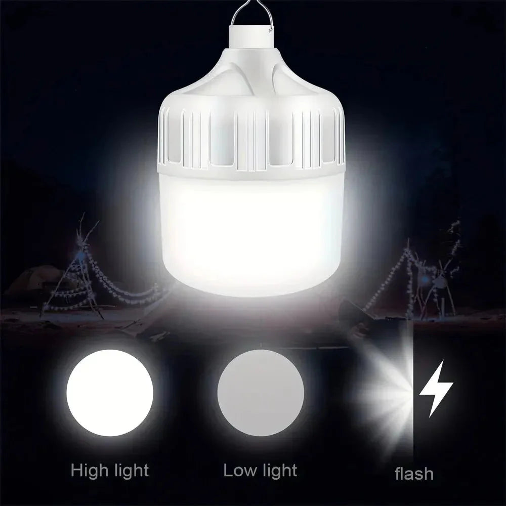 USB Solar Nature Torch